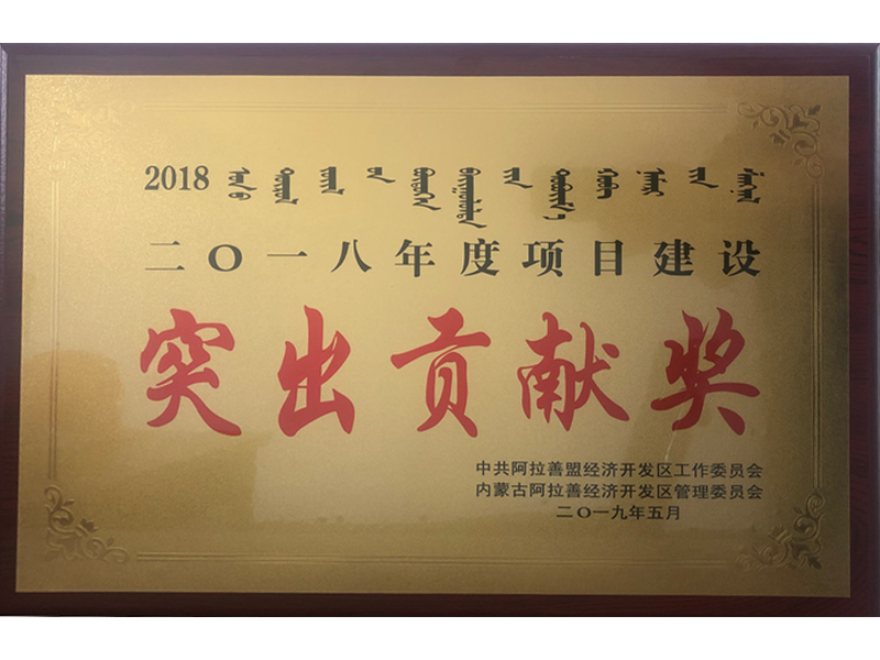 Outstanding Contribution Award